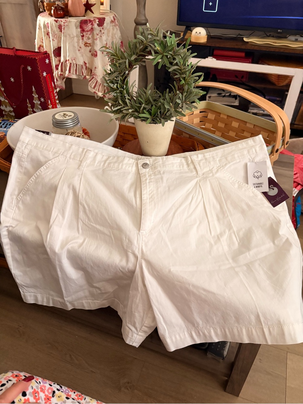 Women’s Gloria Vanderbilt White Cotton Pleated Shorts